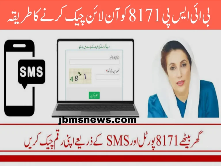 How to Check BISP 8171 Balance Online in 2025