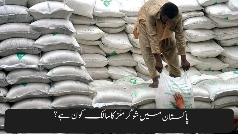 Who Owns Sugar Mills in Pakistan? Grok AI s Shocking Answer Goes Viral